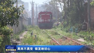 离岗不离党 银发映初心