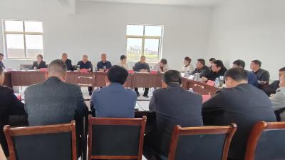 张家集镇召开全域国土综合整治项目建设推进会