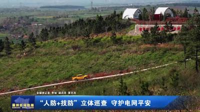 “人防+技防”立体巡查 守护电网平安