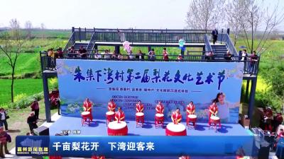 千亩梨花开 下湾迎客来