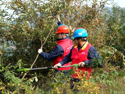 清明防山火护电网  “人防+技防”立体巡查守平安