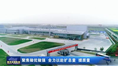 聚焦做优做强 全力以赴扩总量 提质量