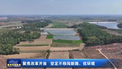 聚焦改革开放  坚定不移闯新路、优环境