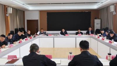 崔长领：持续深化农村集体“三资”管理和高标准农田建设问题集中整治