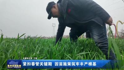紧扣春管关键期  因苗施策筑牢丰产根基