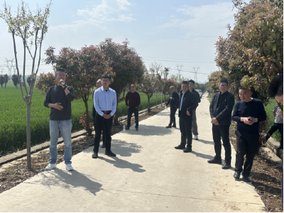 襄州区 2026 年小麦赤霉病防控技术培训会召开