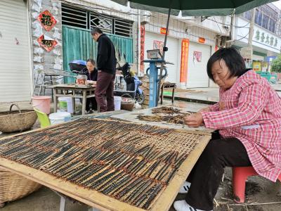 闲时上山寻“商机” 家门口挣零花钱