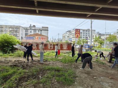 公益劳动促矫正 共建美丽乡村焕新颜