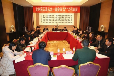 【聚焦两会】区委书记骆志勇参加人大分团审议