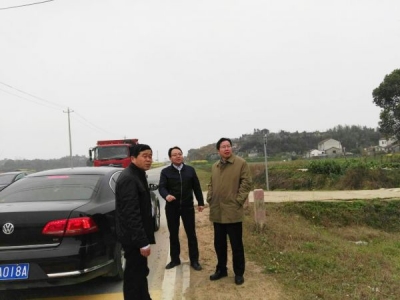 骆志勇到陶店乡调研陈南公路绿化