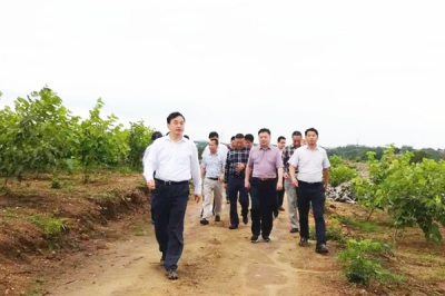 余友斌到黄州区调研美丽乡村建设和现代农业发展工作