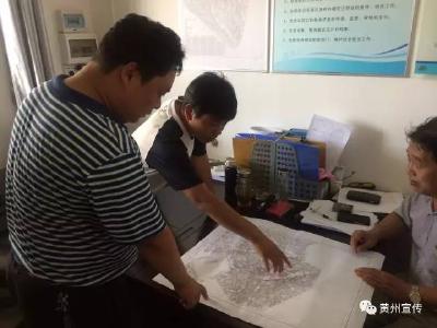 黄州区加速服务晨鸣项目建设