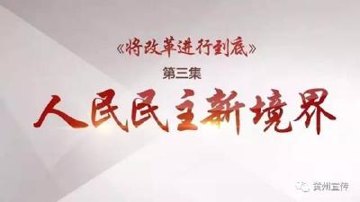 《将改革进行到底》第三集：人民民主新境界