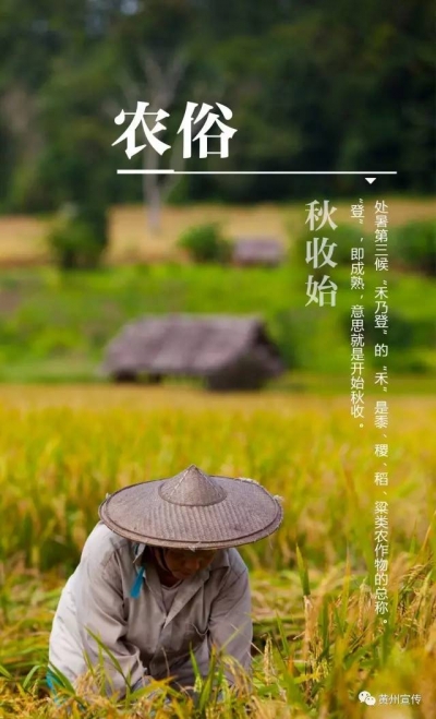 今日处暑丨秋收始、渔船开，处暑才不是个没故事的节气