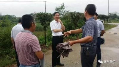 骆志勇到陈策楼镇督办美丽乡村建设