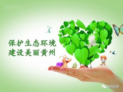 为捕鸟设丝网 触刑律落法网
