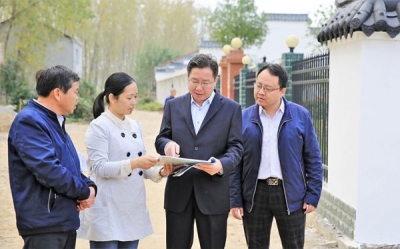 骆志勇到陶店乡调研美丽乡村建设