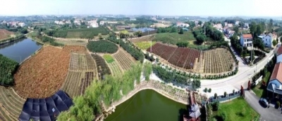 陈策楼镇李家湾村美丽乡村建设侧记