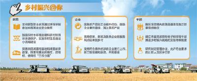 聚焦中央一号文件：新时代乡村振兴的政策蓝图