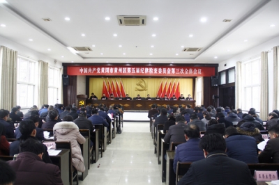 骆志勇在区纪委五届三次全会上强调  坚定不移推动全面从严治党向纵深发展