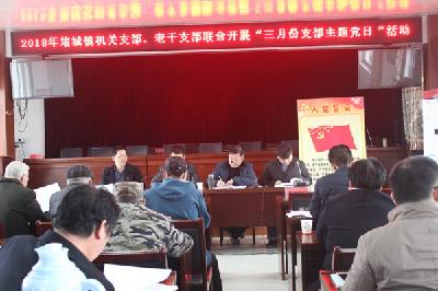 全区各乡镇街道积极开展三月份支部主题党日活动