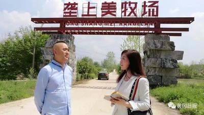 【黄冈发布】律界大咖醉心生态农业，带得一群“大雁”归！走乡村振兴路，看黄冈这么干！