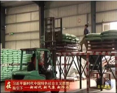 黄州区的“新希望” 领跑绿色生态饲料产业