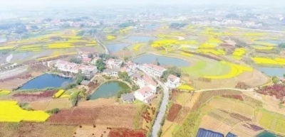 擦亮和谐宜居生活底色，绘就一幅黄州美丽乡村新画卷