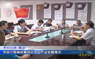 市统计局调研黄州区文化产业发展情况