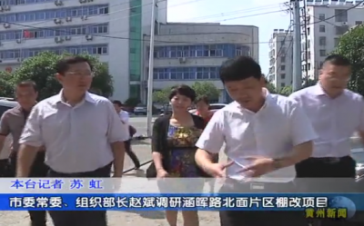 市委常委、组织部长赵斌调研涵晖路北面片区棚改项目