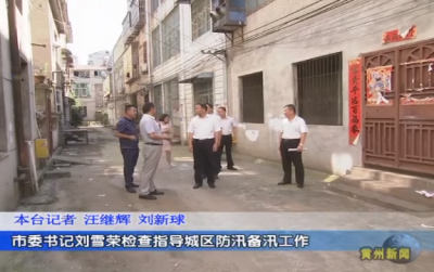 市委书记刘雪荣检查指导城区防汛备汛工作