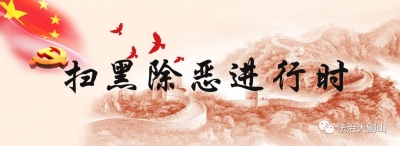 【黄冈发布】利剑出鞘扬正气 扫黑除恶保民安——我市深入推进扫黑除恶专项斗争综述