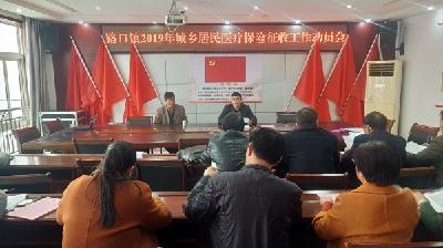 路口镇召开2019年度城镇居民基本医疗保险征收动员工作会