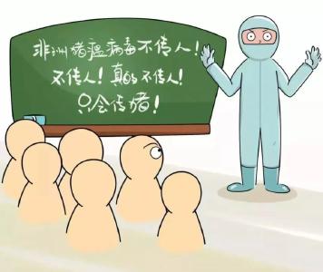 黄州人别慌！非洲猪瘟不传染人，做好防控最重要！这些常识要掌握~