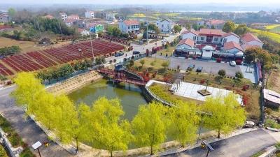 奋力谱写乡村振兴发展新篇章之三——乡村蝶变展新颜
