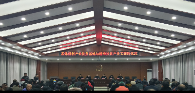 陈策楼镇 多措并举 不落一人精准扶贫工作在行动 ——盂钵桥村产业扶贫基地与精准扶贫户务工签约仪式拉开帷幕