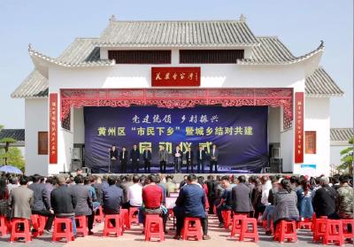 奋力谱写乡村振兴发展新篇章之二——强村富民在行动