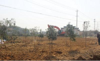 “同为大地添绿，共享生态文明”陈策楼镇掀起植树高潮