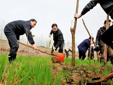 区四大家领导参加市区春季义务植树活动