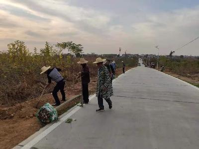 入冬植树正当时 众志成城绘新绿 --黄州区农村公路局抢抓有利时机，推进农村公路绿化工作