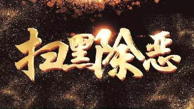 公正执法扬正气  扫黑除恶保平安——黄州区持续发力推进扫黑除恶专项斗争