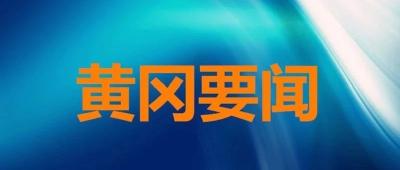 【黄冈头条】蒋超良在红安检查指导疫情防控工作强调…