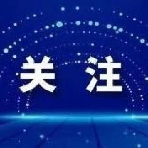 黄州区正式启用疫情防控应急车辆（省内）通行证信息管理平台
