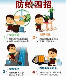 如何有效预防登革热？