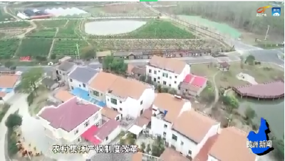 黄州区：盘活资产资源 助力乡村振兴