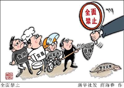 黄州人注意了，哪些动物，我们不能吃！