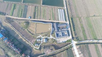 省政府召开专题会议研究推进黄州区叶路洲蔬菜产业园建设
