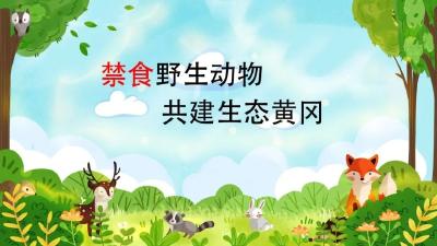 我市出台新规，全面禁食野生动物