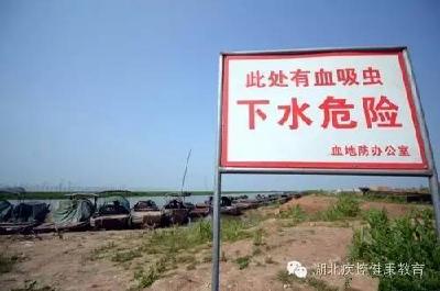 怎么预防血吸虫病？如何就诊？有哪些注意事项？