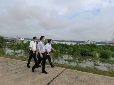 守泵巡堤，防汛我们一直都在